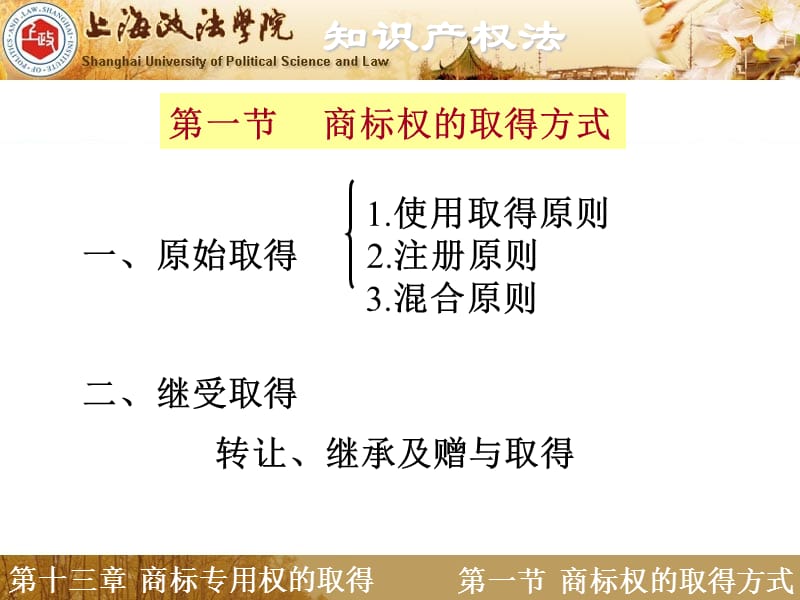 第十三章商标专用权的取得.ppt_第2页