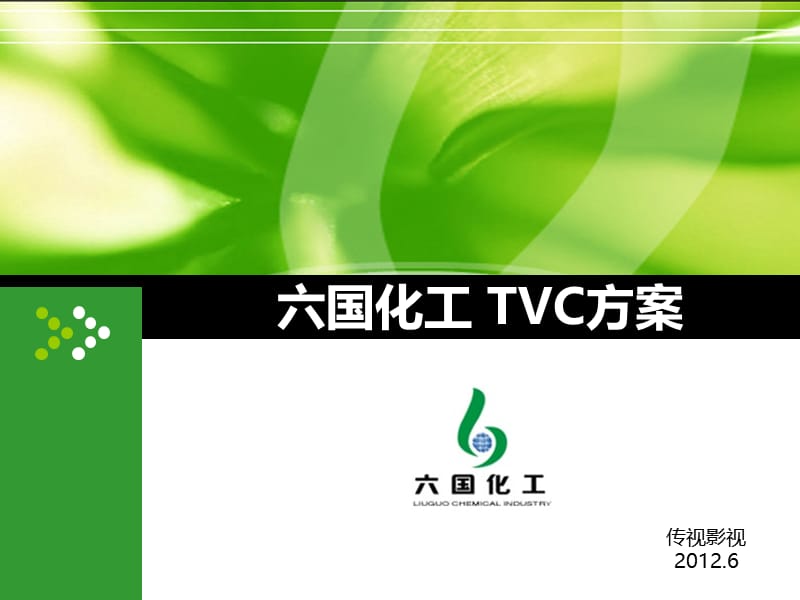 六国化工TVC方案.ppt_第1页