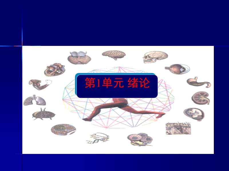 人体生理功能第一章.ppt_第1页