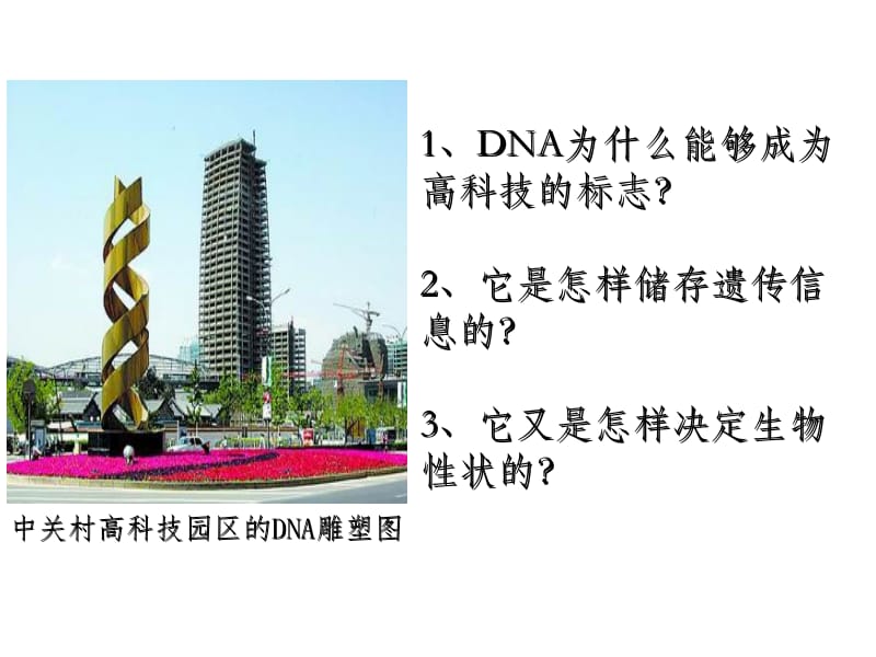 DNA结构特点.ppt_第1页