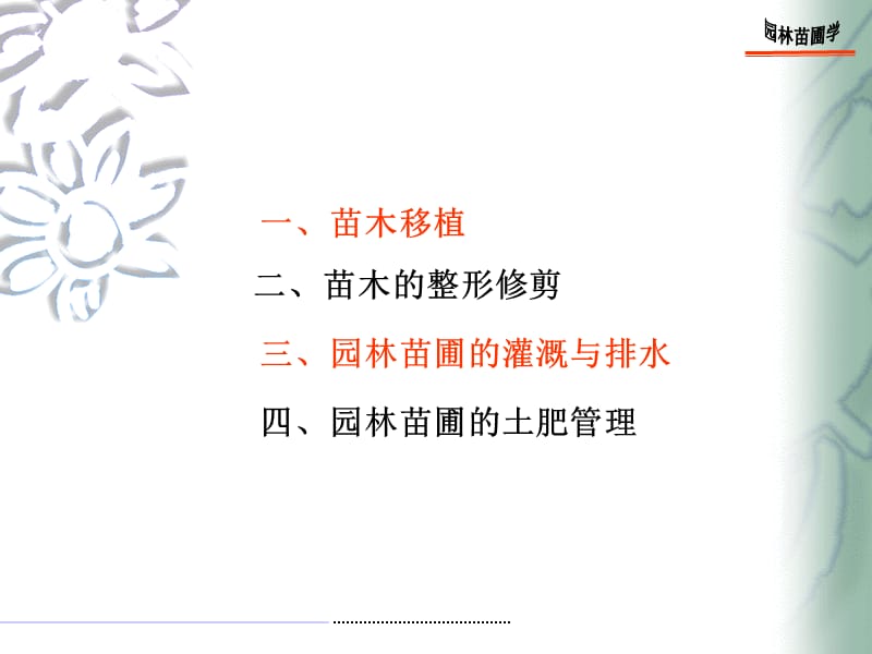 第六章大苗培育.ppt_第2页