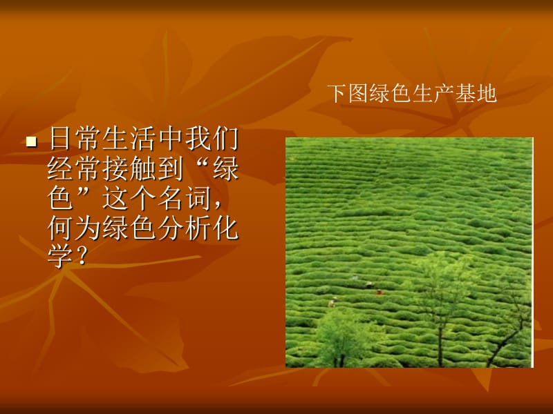 绿色分析化学与环境.ppt_第2页