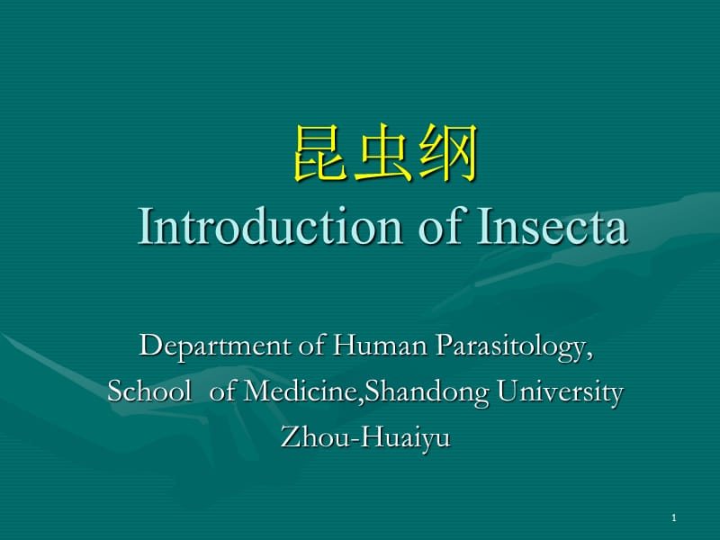 昆虫纲IntroductionofInsecta.ppt_第1页