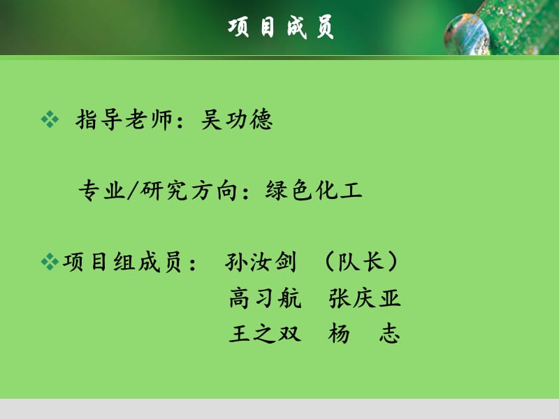 南京绿色化工有限公司.ppt_第2页