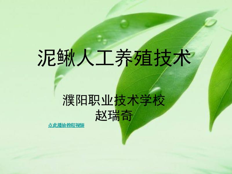 泥鳅人工养殖技术濮阳职业技术学校赵瑞奇.ppt_第1页