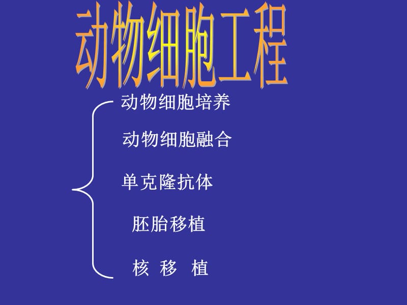 克隆羊多利.ppt_第3页