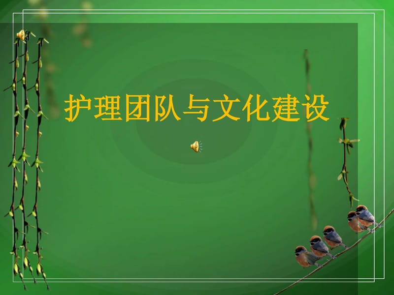 护理团队与文化建设.ppt_第1页