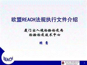 欧盟REACH法规执行文件介绍.ppt