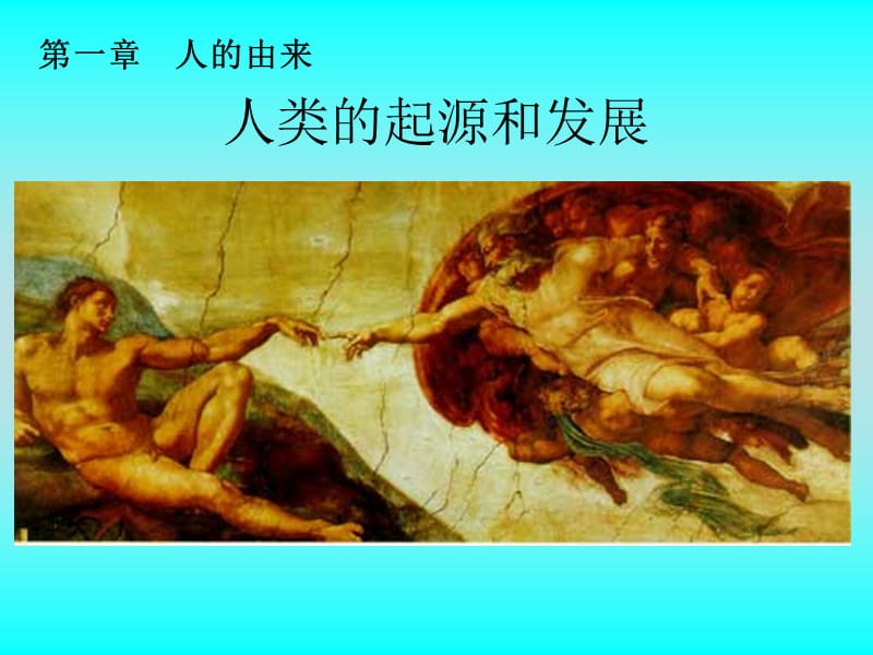 人类的起源和发展.ppt_第2页