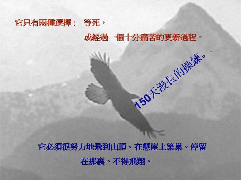 老鹰故事的启发.ppt_第3页