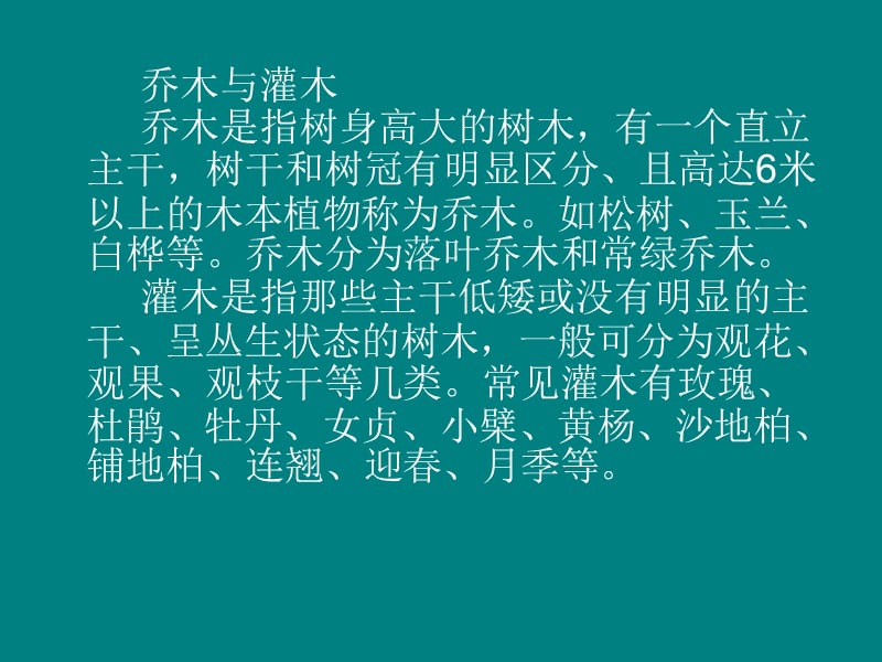 乔灌木整形修剪.ppt_第2页