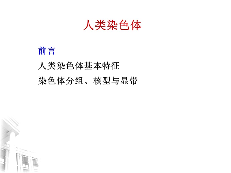 人类染色体.ppt_第2页