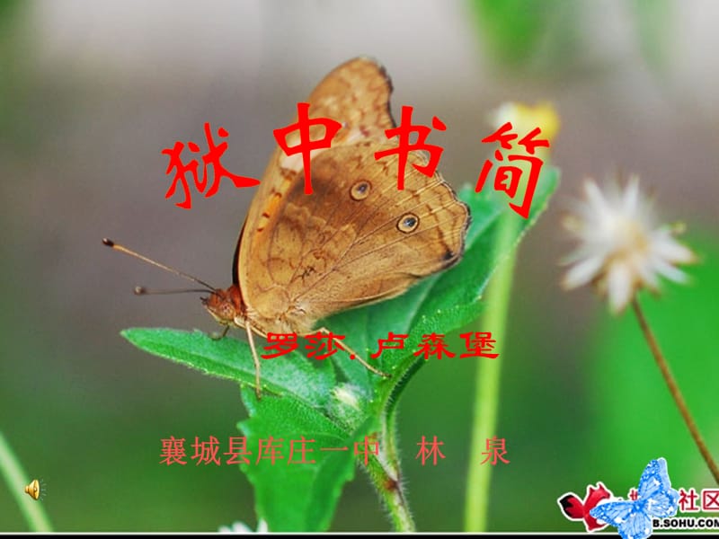 罗莎卢森堡.ppt_第1页