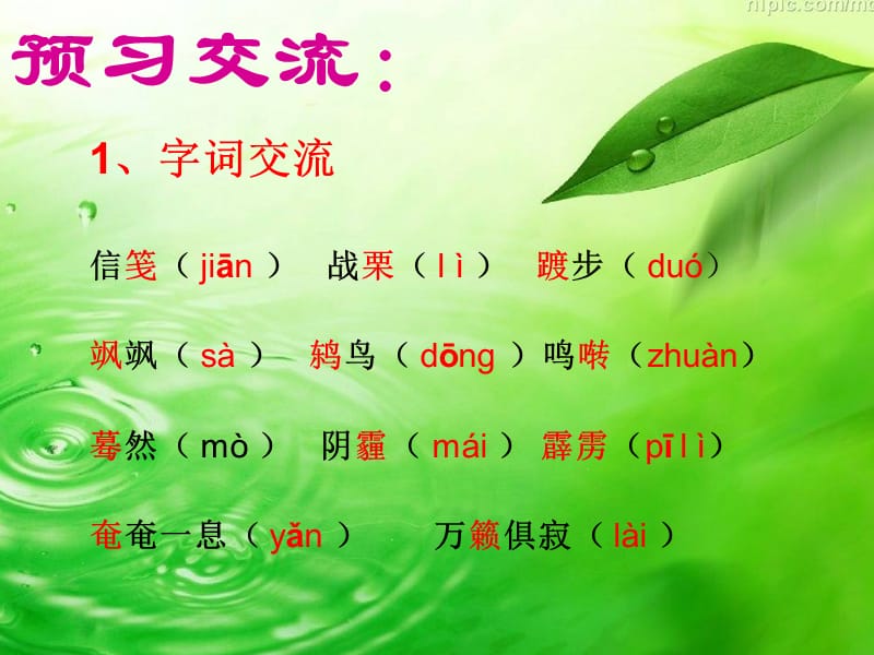 罗莎卢森堡.ppt_第3页