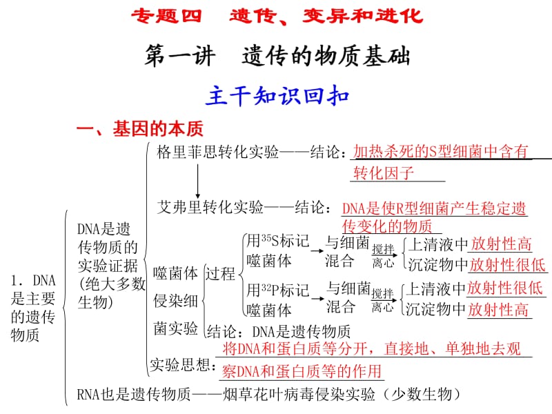 专题四第一讲遗传的物质基础.ppt_第1页