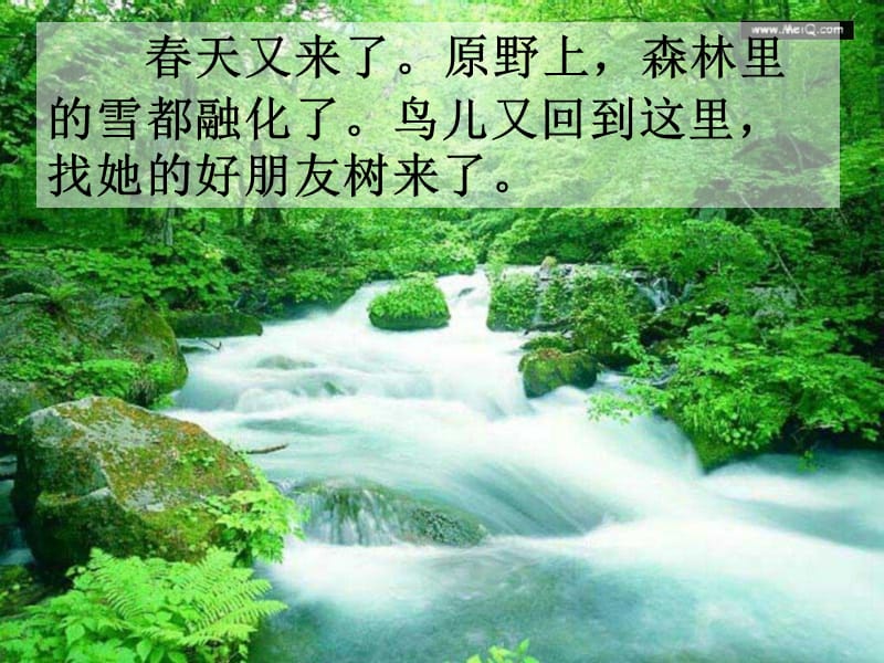 去年的树.ppt_第2页