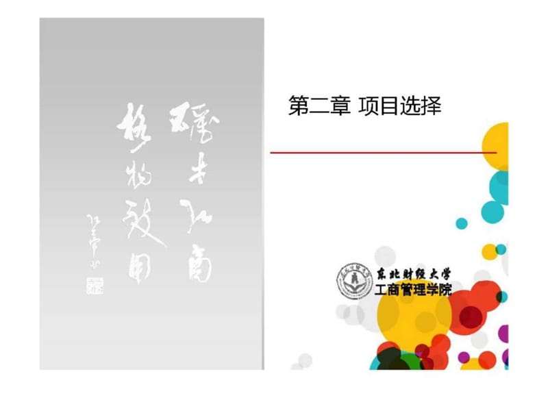 第二章 项目选择.ppt_第1页