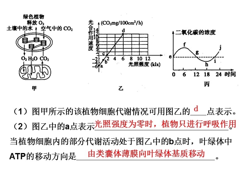 考点热身.ppt_第3页