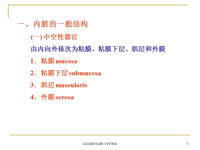 第5章消化系统ppt课件.ppt_第3页