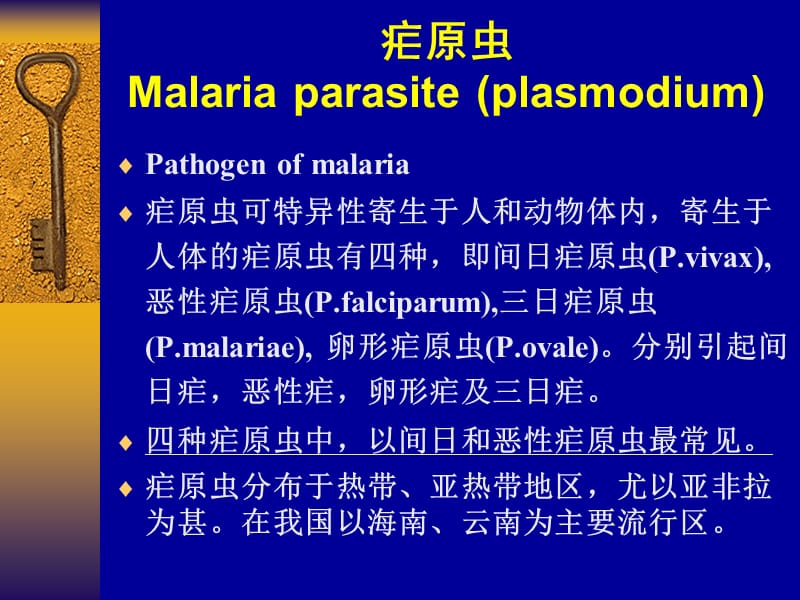 疟原虫MALARIAPARASITE.ppt_第2页