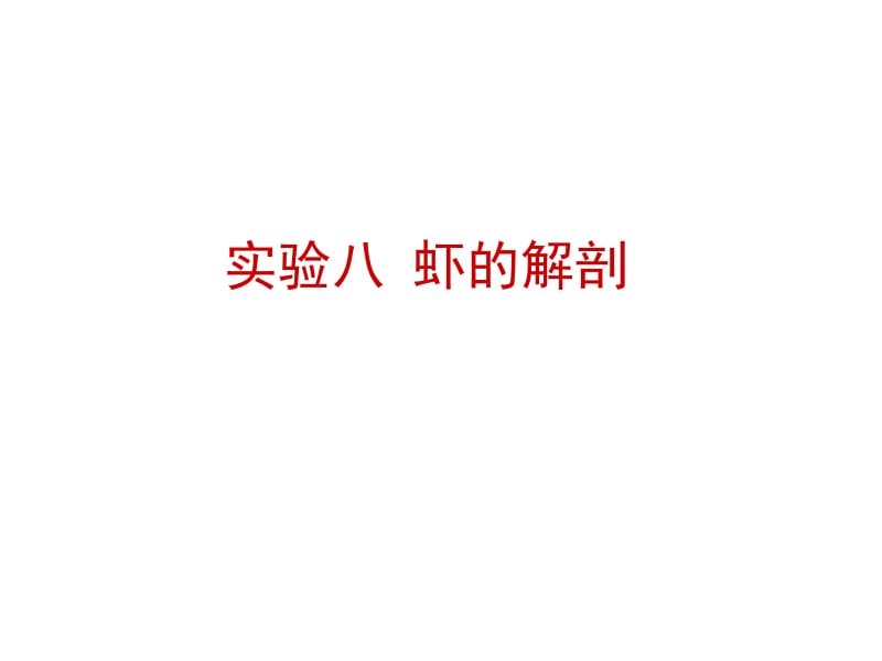 8螯虾的解剖.ppt_第1页