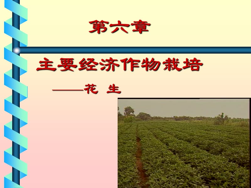 六章节主要经济作物栽培.ppt_第1页