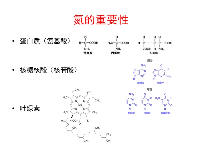 农业生态学7N循环ppt课件.ppt_第3页