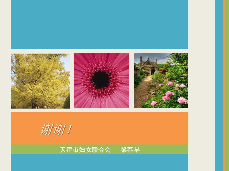 清洁村庄情况介绍000002.ppt_第2页