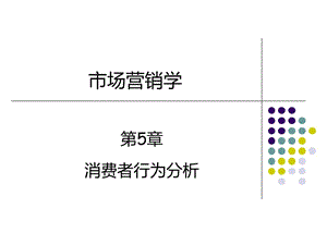 第5章消费者行为分析.ppt