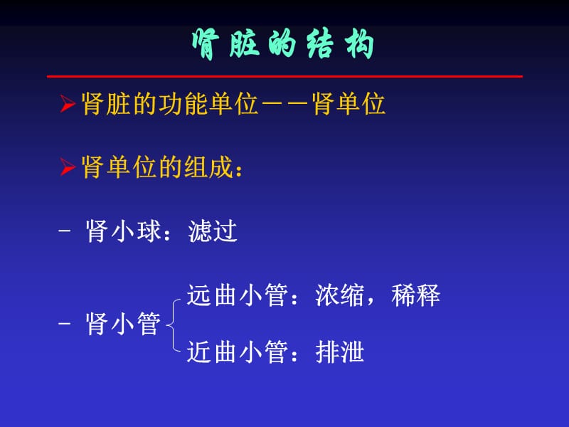 肾脏疾病常用的实验室检查.ppt_第2页