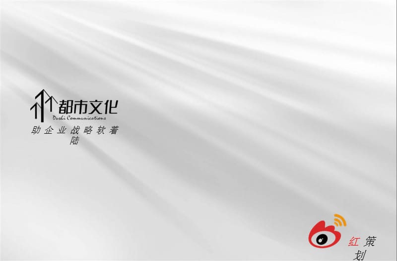 某机构公司简介红策划.ppt_第1页