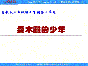 鲁教版语文三年级下册卖木雕的少年课件3.ppt