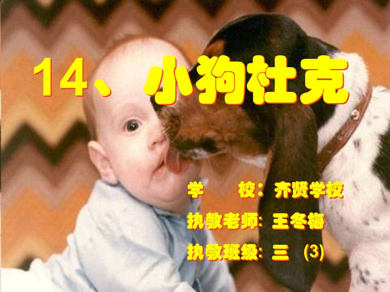 齐贤学校小狗杜克沪教版三年级上册.ppt_第1页