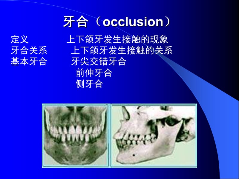 中国医科大学-口腔解剖生理学课件06.ppt_第1页