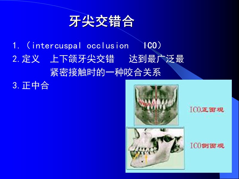 中国医科大学-口腔解剖生理学课件06.ppt_第2页