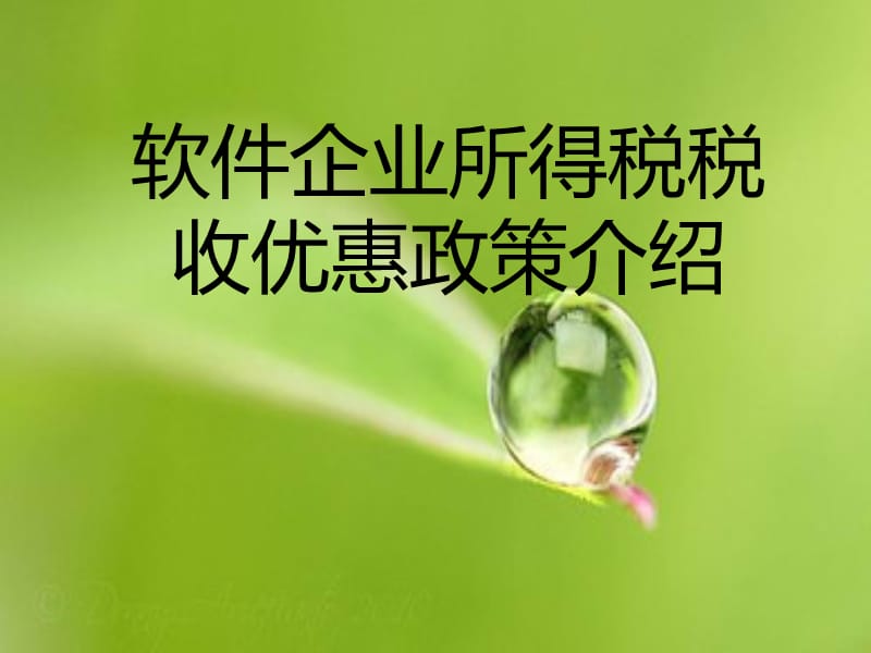 软件企业所得税税收优惠政策介绍.ppt_第1页