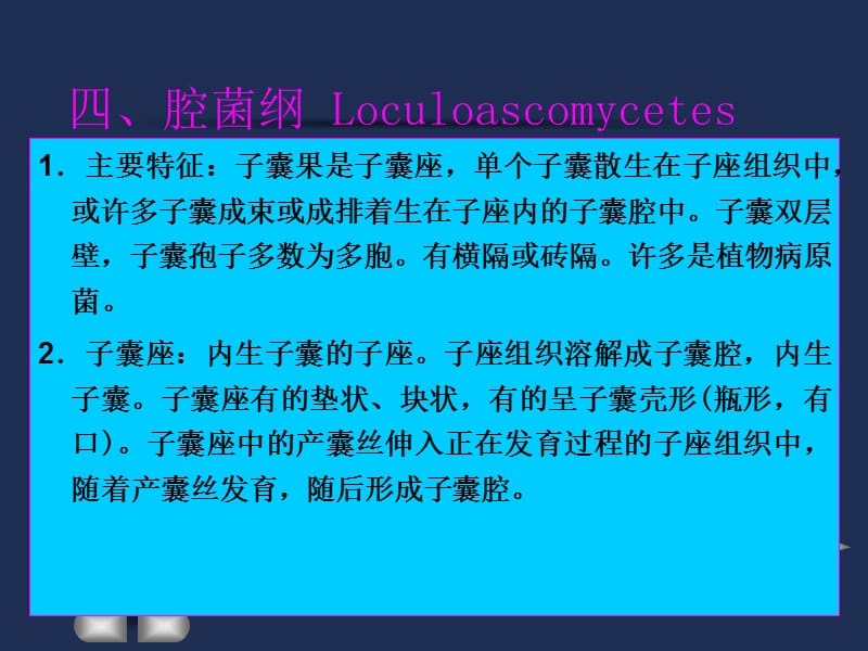 球壳目常见属检索表课件.PPT_第2页