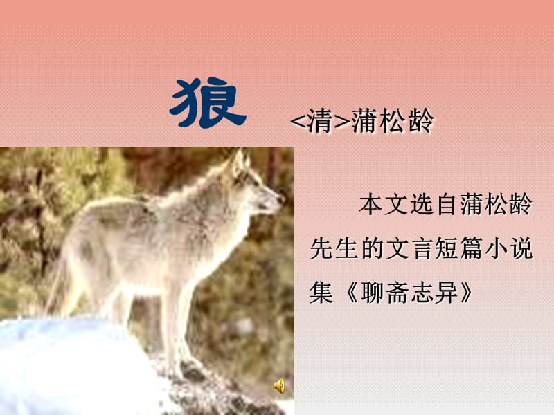 狼清蒲松龄.ppt_第1页