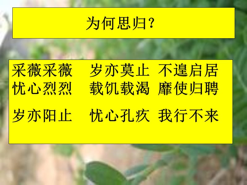 采薇优秀课件.ppt_第3页