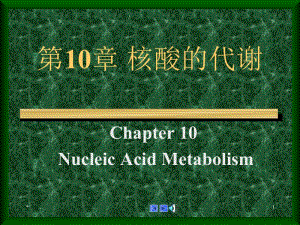 10++10+Metabolism+of+Nucleic+Acid+.ppt