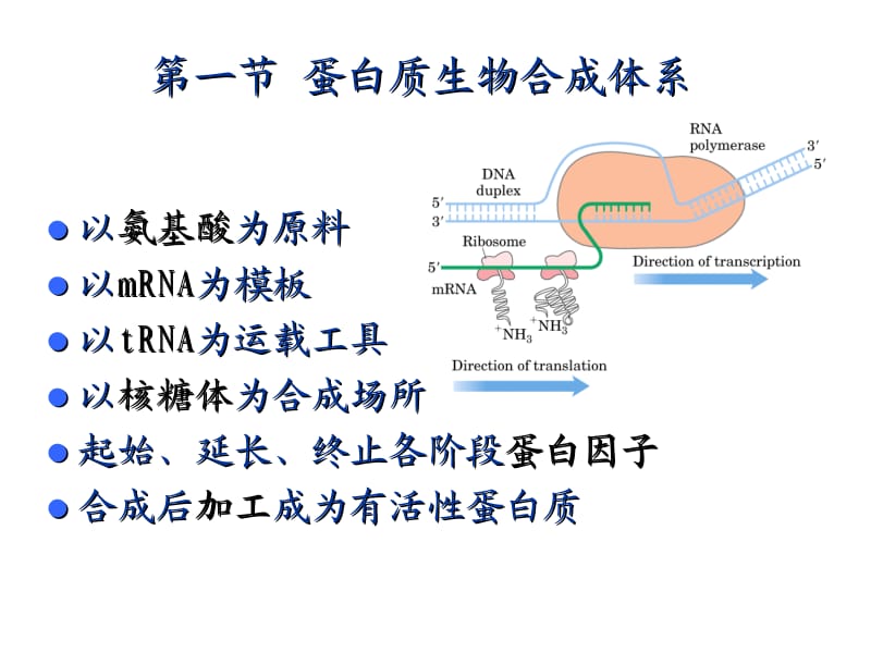 10translation.ppt_第2页