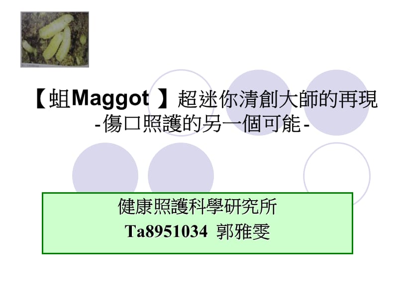 蛆Maggot超迷你清创大师的再现-伤口照护的另一个可能-.ppt_第1页