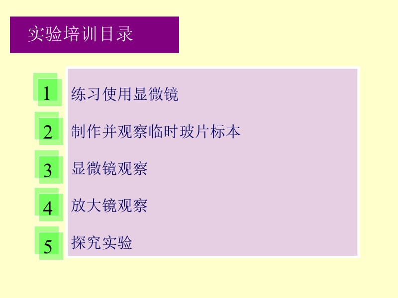 初中生物实验专题--苑素琴.ppt_第2页