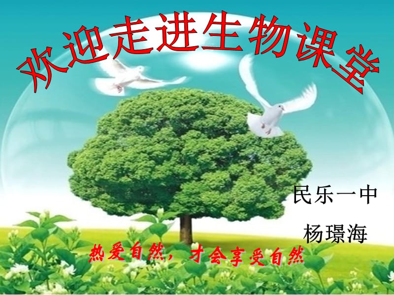 民乐一中杨璟海.ppt_第1页