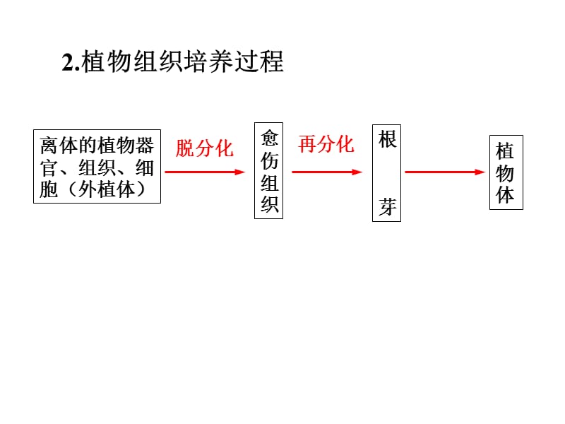 课题菊花的组织培养.ppt_第3页