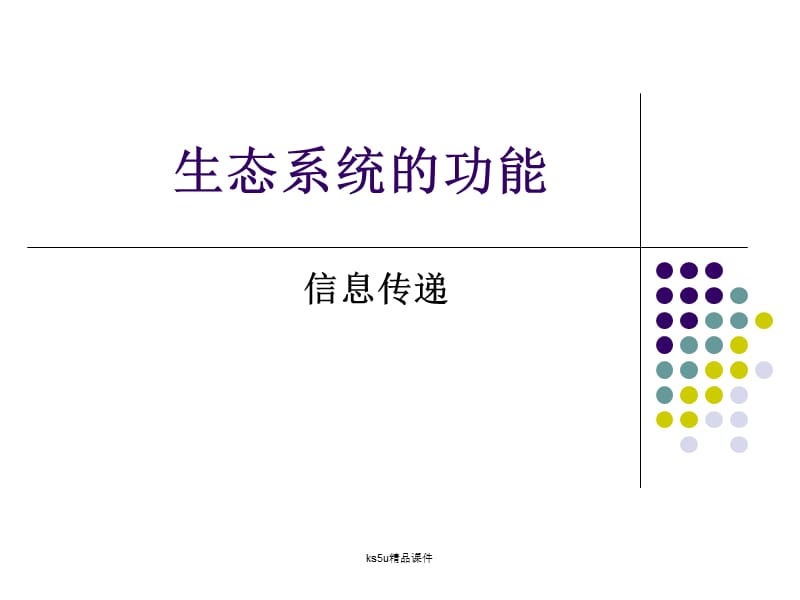 信息传递、稳定性.ppt_第1页