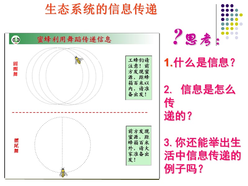 信息传递、稳定性.ppt_第2页