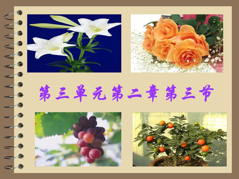 三单元二章三节.ppt_第1页