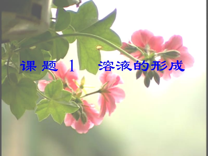 课题溶液的形成2.ppt_第2页