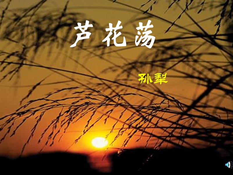 芦花荡课件.ppt_第1页